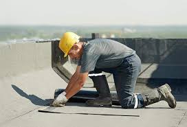 Best Steel Roofing  in Rosenhayn, NJ